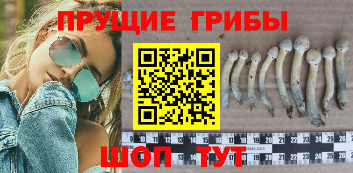 Галлюциногенные грибы Psilocybine cubensis  Вход с VPN  Верхняя Пышма 
