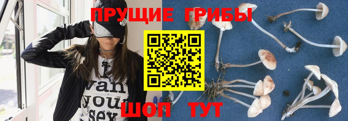 Галлюциногенные грибы ЛСД Верхняя Пышма